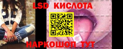 бошки Кингисепп