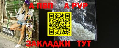 бошки Кингисепп