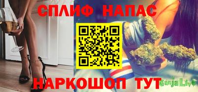 бошки Кингисепп