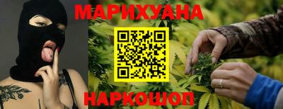 бошки Кингисепп