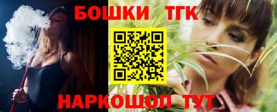 бошки Кингисепп