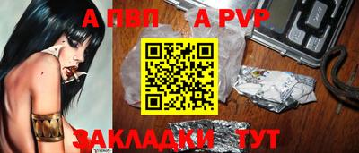 бошки Кингисепп