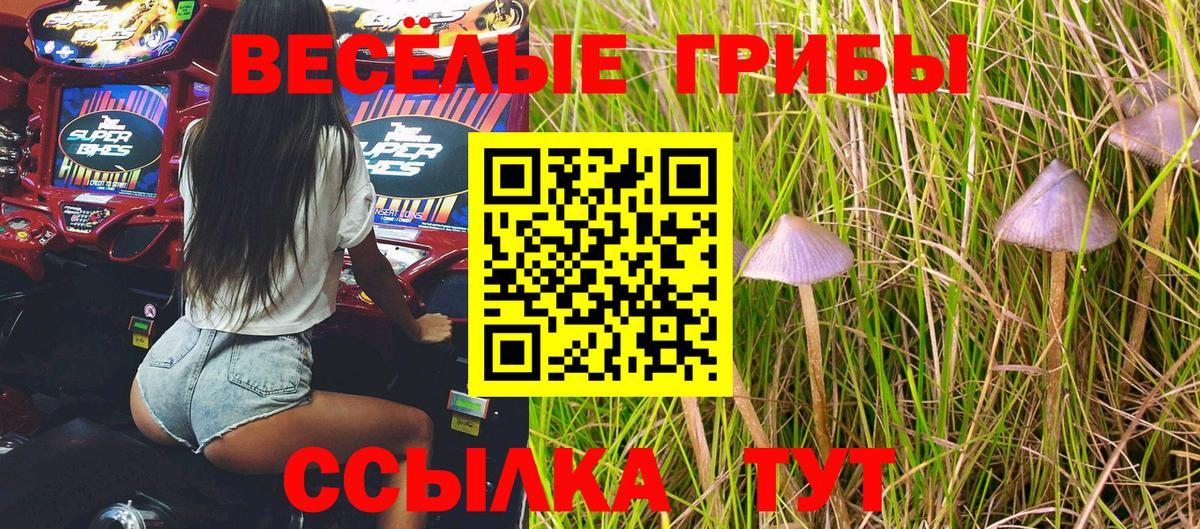 Галлюциногенные грибы GOLDEN TEACHER Краснокаменск