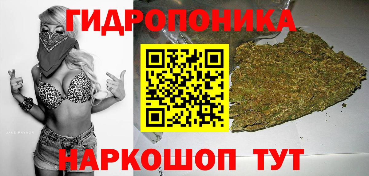 Конопля семена  Бошки марихуана White Widow  Краснокаменск  Вход с VPN 